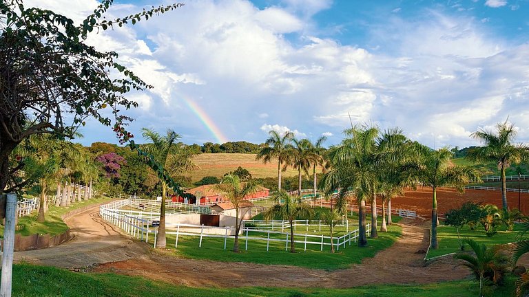 Experiência em celeiro com cavalos à porta