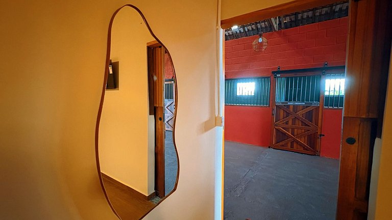 Experiência em celeiro com cavalos à porta