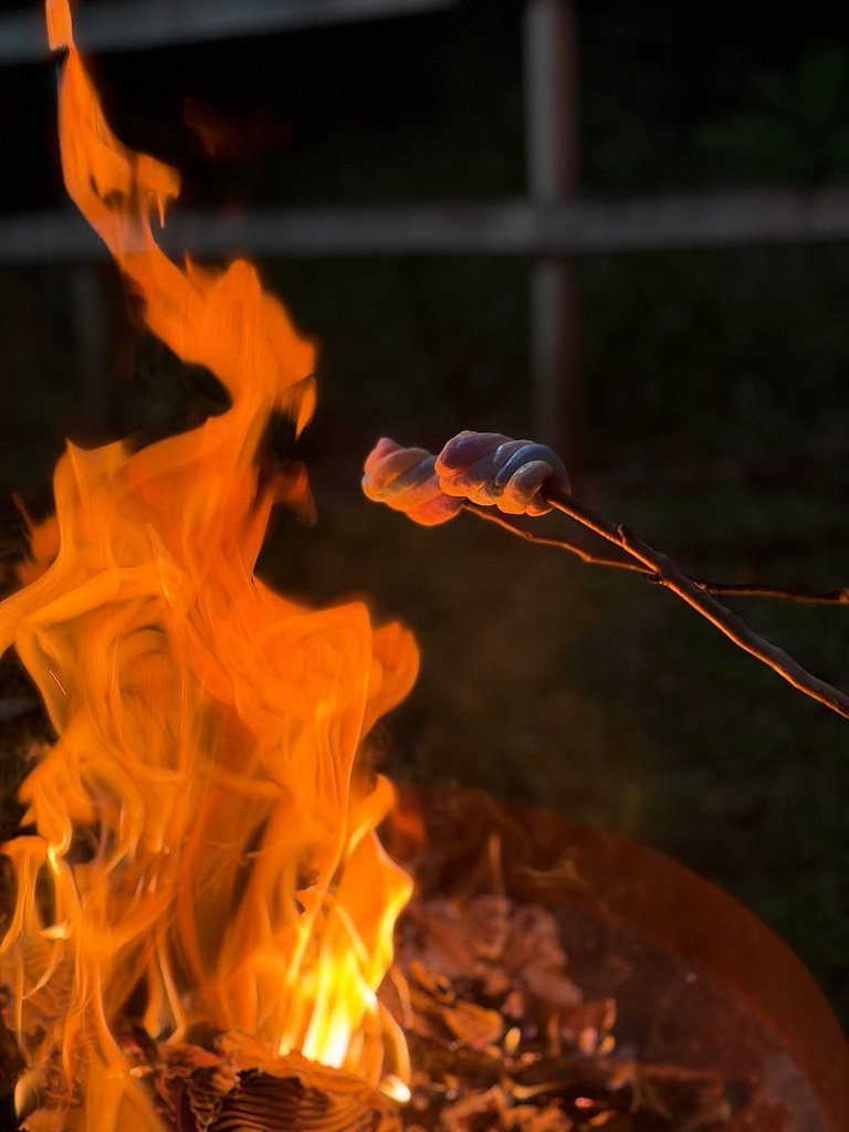 The Barn House - Experiência country privada