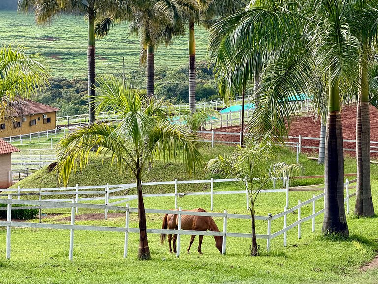 The Barn House - Experiência country privada