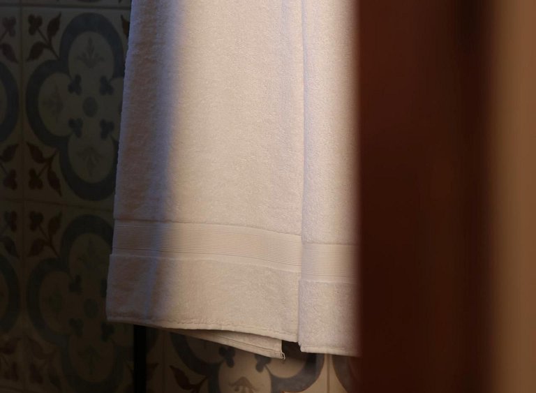 Experiência em celeiro com cavalos à porta