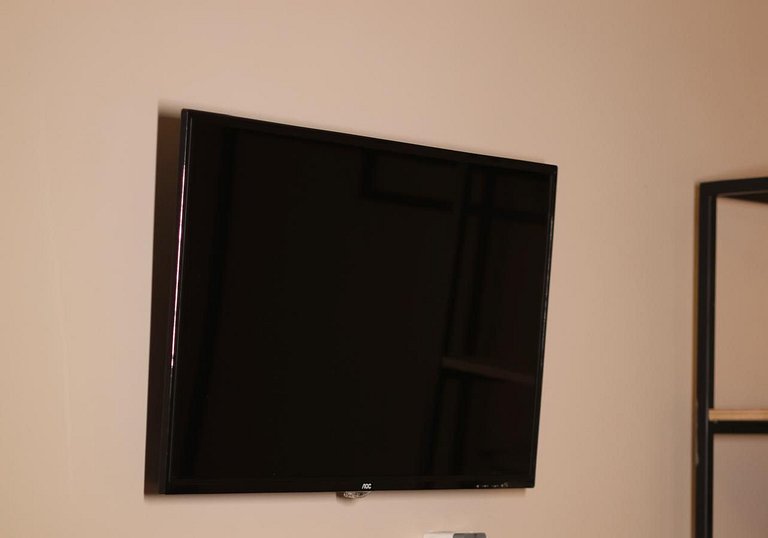 Experiência em celeiro com cavalos à porta