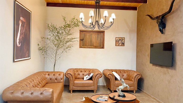 Experiência em celeiro com cavalos à porta