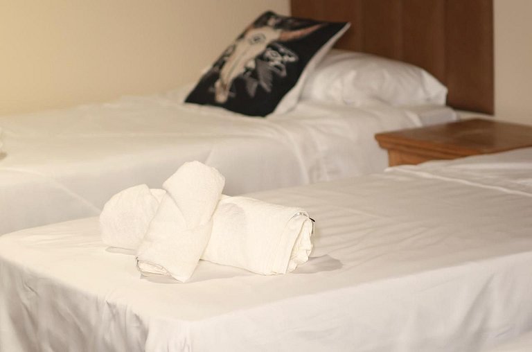 Experiência em celeiro com cavalos à porta