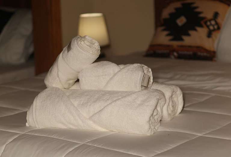 Experiência em celeiro com cavalos à porta