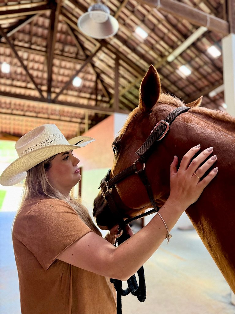 Experiência em celeiro com cavalos à porta