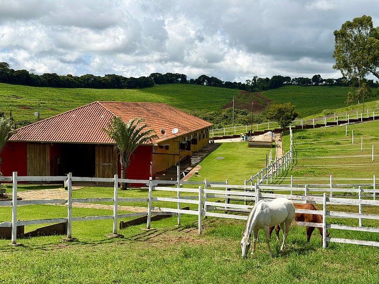 Experiência em celeiro com cavalos à porta
