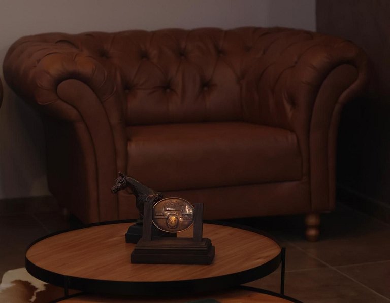 Experiência em celeiro com cavalos à porta