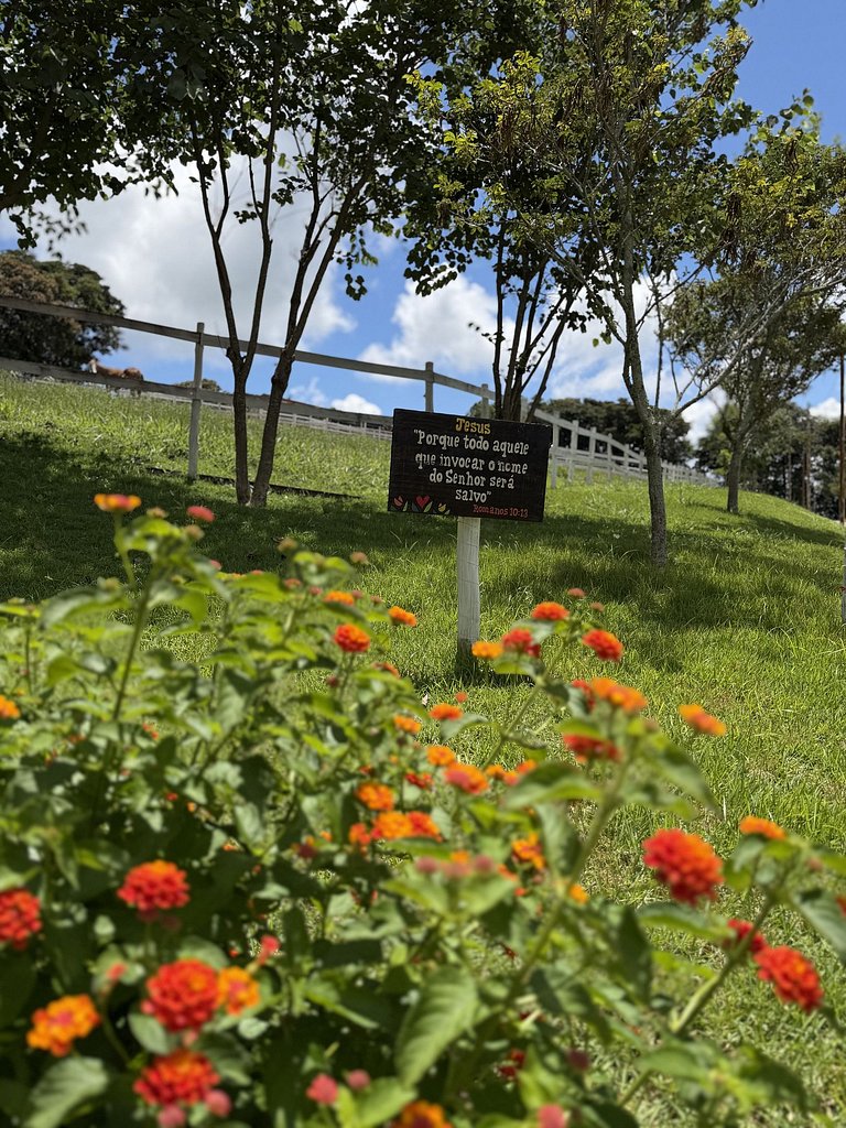 Experiência em celeiro com cavalos à porta