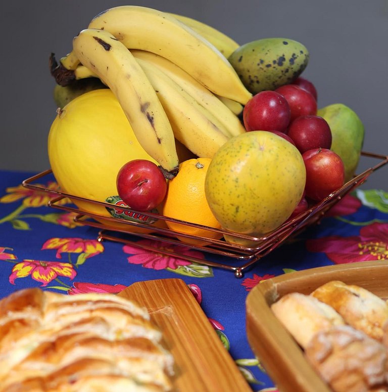 Experiência em celeiro com cavalos à porta