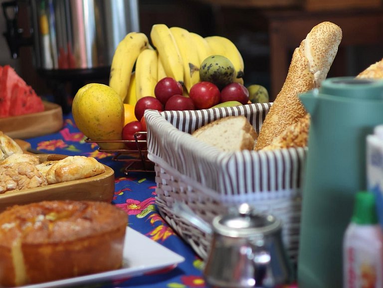 Experiência em celeiro com cavalos à porta