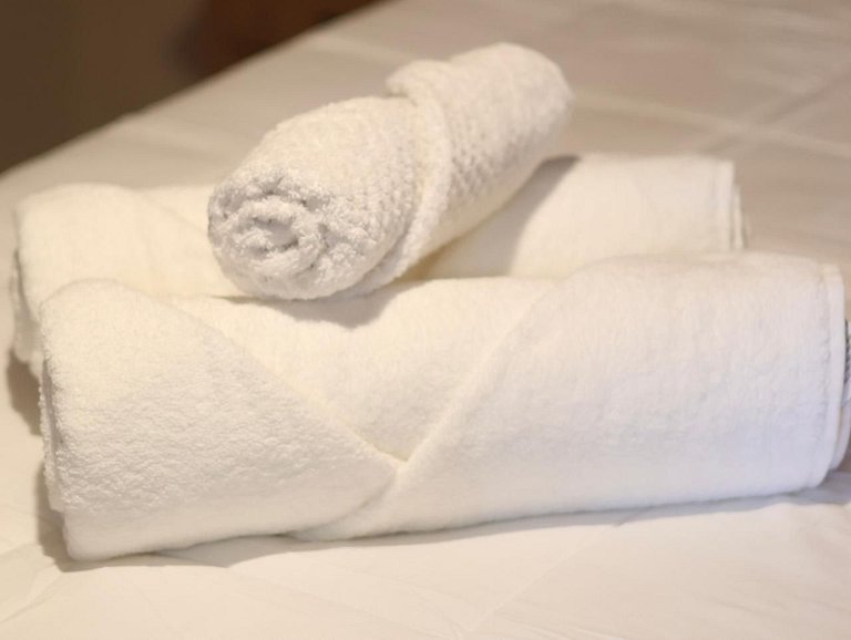 Experiência em celeiro com cavalos à porta