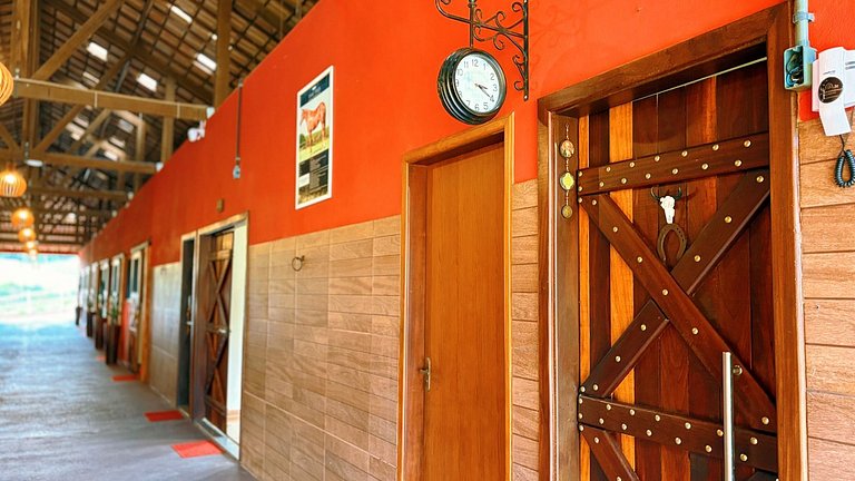 Experiência em celeiro com cavalos à porta