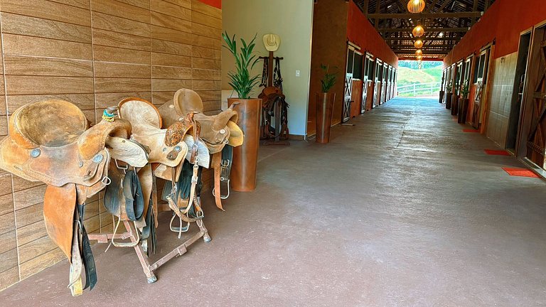 Experiência em celeiro com cavalos à porta