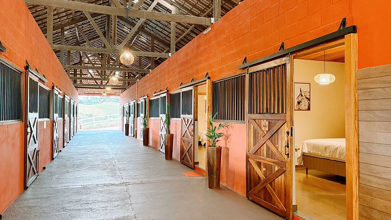 Experiência em celeiro com cavalos à porta