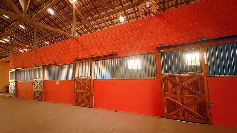 Experiência em celeiro com cavalos à porta