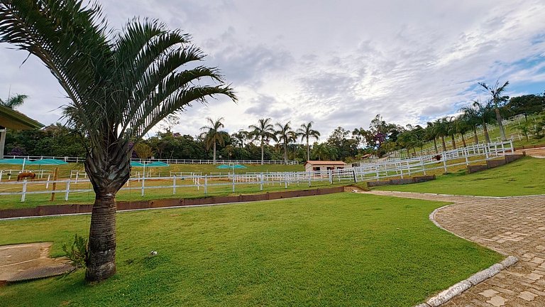 Experiência em celeiro com cavalos à porta