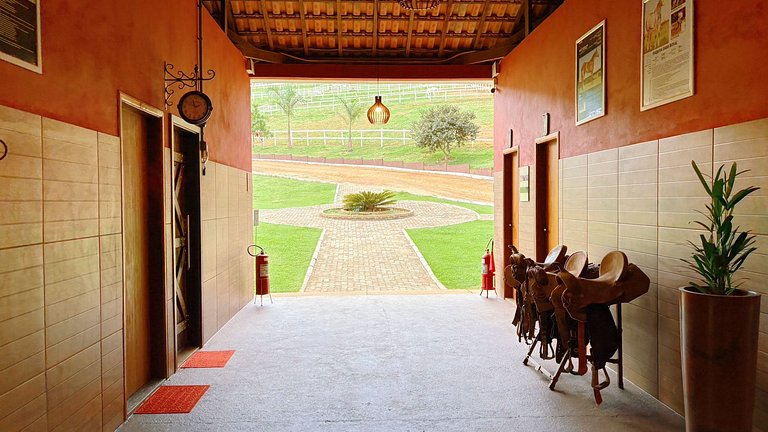 Experiência em celeiro com cavalos à porta