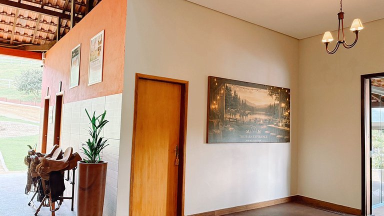 Experiência em celeiro com cavalos à porta